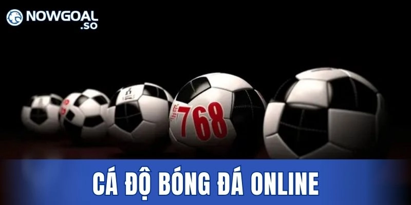 Cá Độ Bóng Đá Online – Cơ Hội Sinh Lời Đỉnh Cao 2026