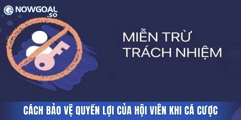 Cách bảo vệ quyền lợi của hội viên khi tham gia cá cược