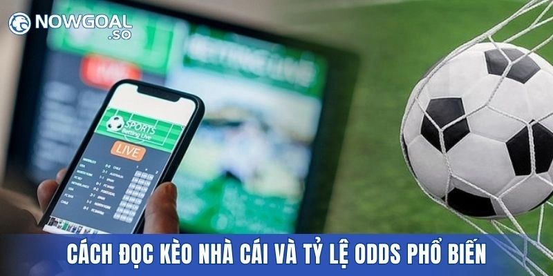 Cách đọc kèo nhà cái và tỷ lệ odds phổ biến