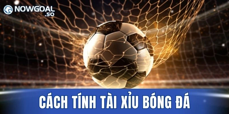 Cách Tính Tài Xỉu Bóng Đá Từ Chuyên Gia Uy Tín 2026