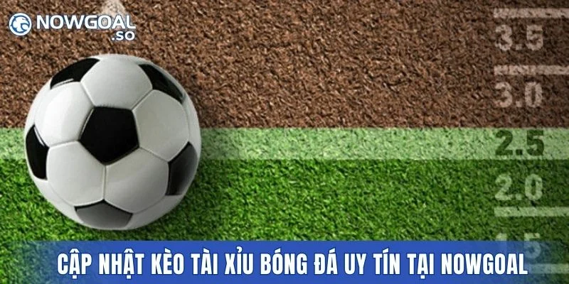 Cập nhật kèo tài xỉu bóng đá uy tín tại Nowgoal