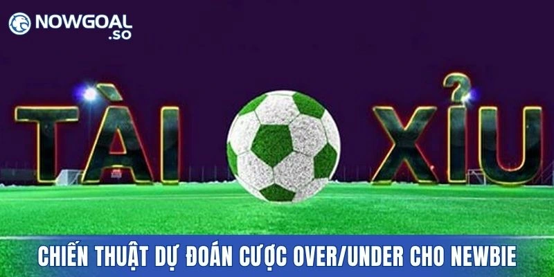 Chiến thuật dự đoán cược Over/Under uy tín cho newbie