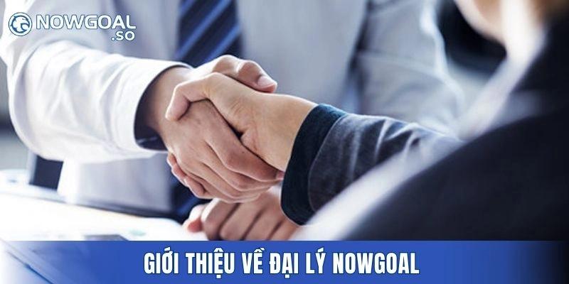 Giới thiệu về đại lý NOWGOAL 