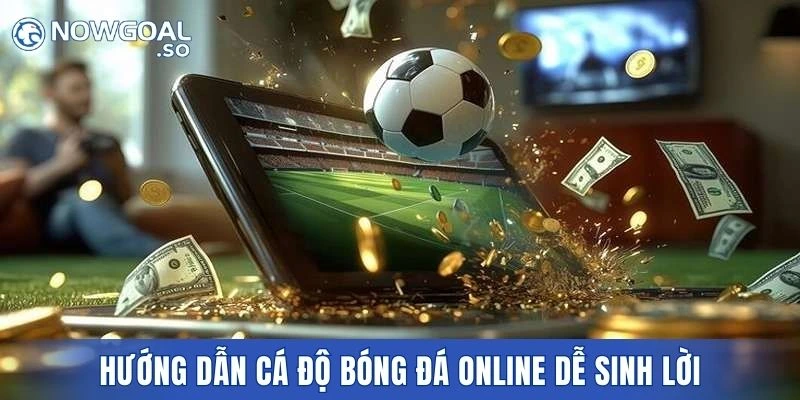 Hướng dẫn cá độ bóng đá dễ sinh lời tại trang chủ uy tín