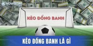 Kèo Đồng Banh Là Gì – Hướng Dẫn Đặt Cược Uy Tín Số 1