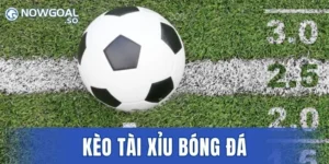 Kinh Nghiệm Chơi Kèo Tài Xỉu Bóng Đá Uy Tín Hàng Đầu 2026