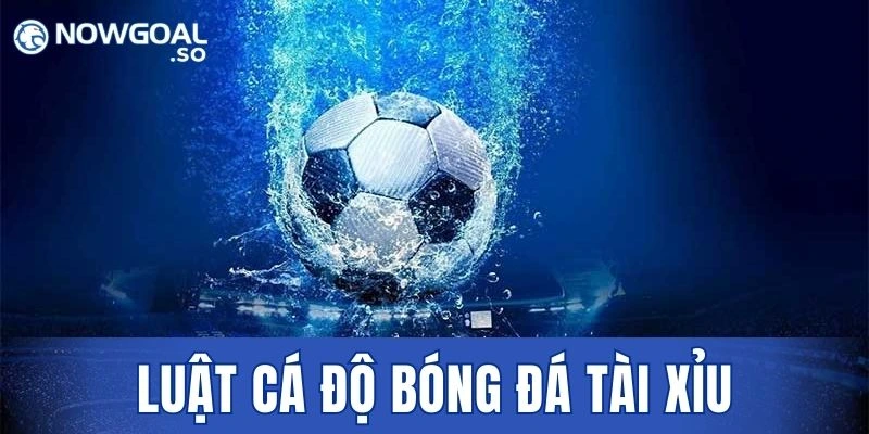 Luật Cá Độ Bóng Đá Tài Xỉu Uy Tín Hàng Đầu Thị Trường 2026