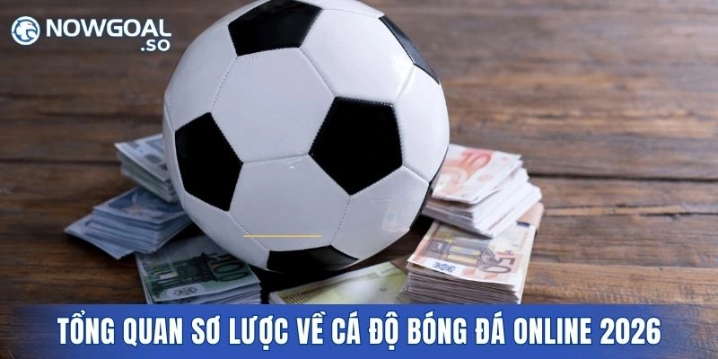 Tổng quan sơ lược về cá độ bóng đá online 2026