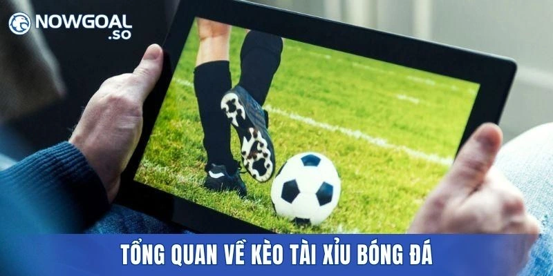 Tổng quan về kèo tài xỉu bóng đá tại nhà cái uy tín hiện nay